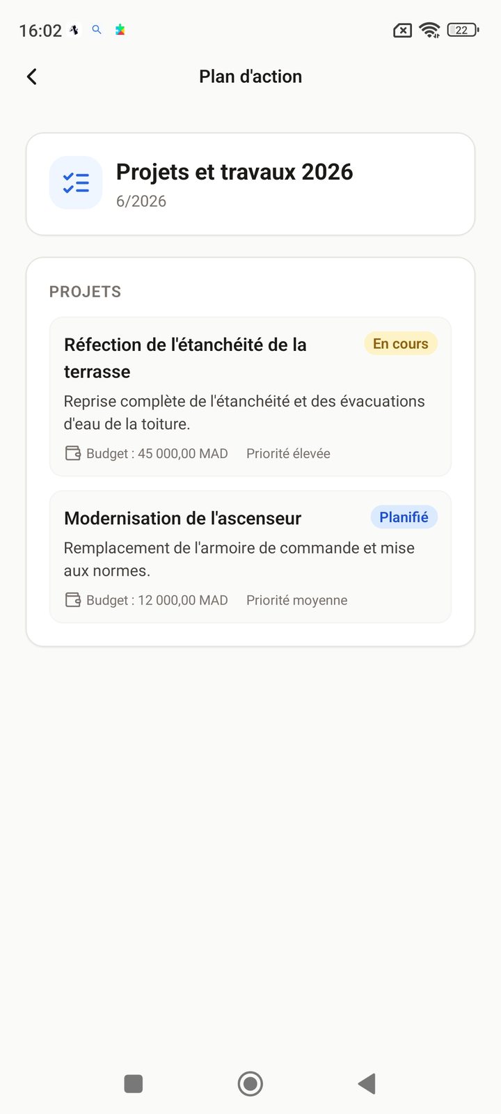 Plan d'action avec projets, budgets et statuts